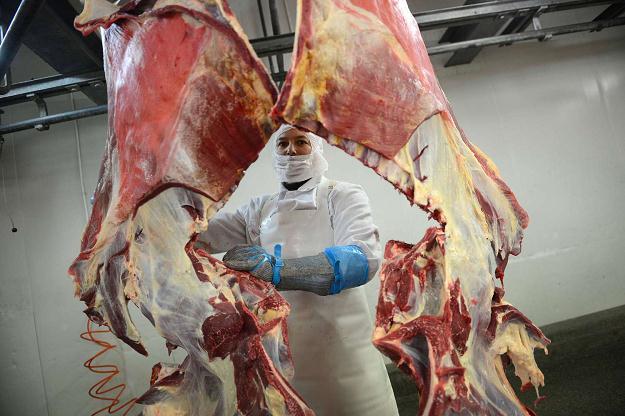 波兰一家肉类加工场被查出挂牛头卖马肉图
